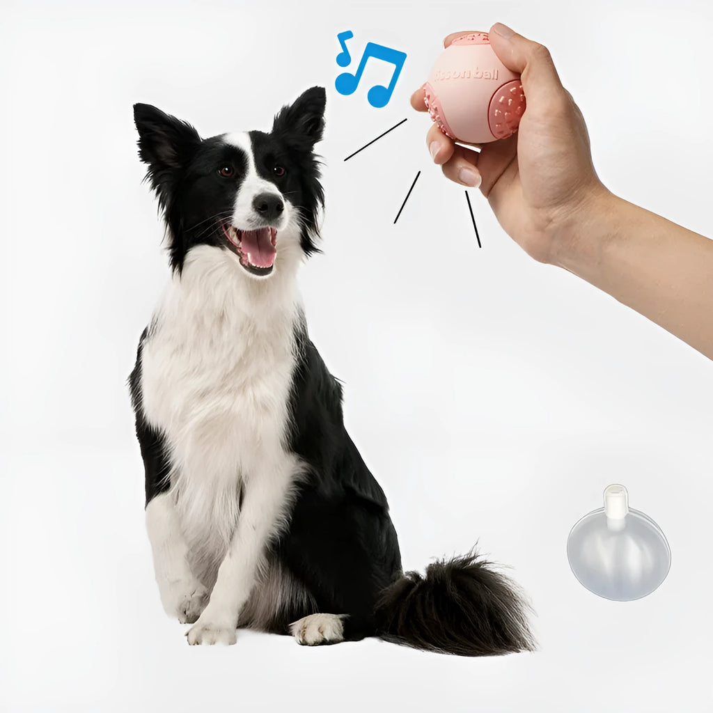 Green interactive rolling ball dog toy measuring 64mm diameter for small medium dogs