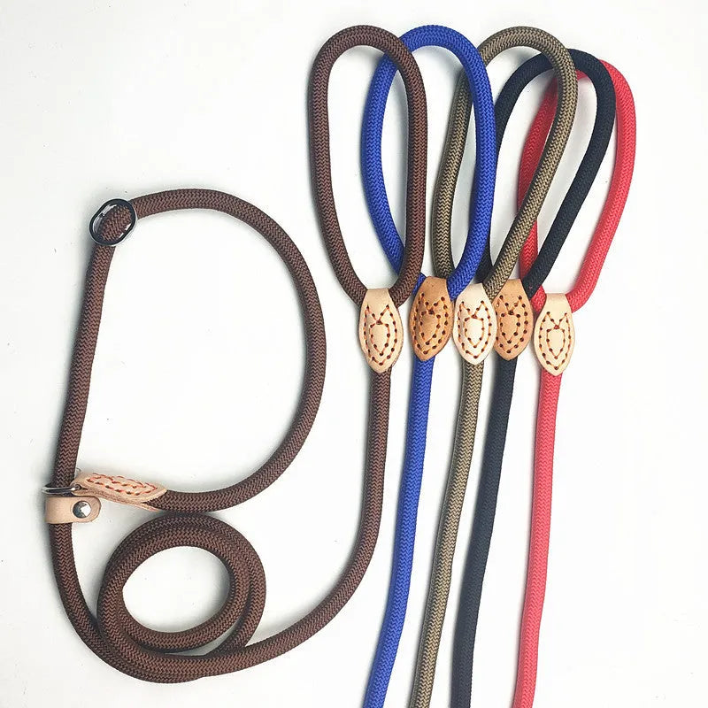 Blast race training dog leash with automatic tightening rope collar in multiple colours