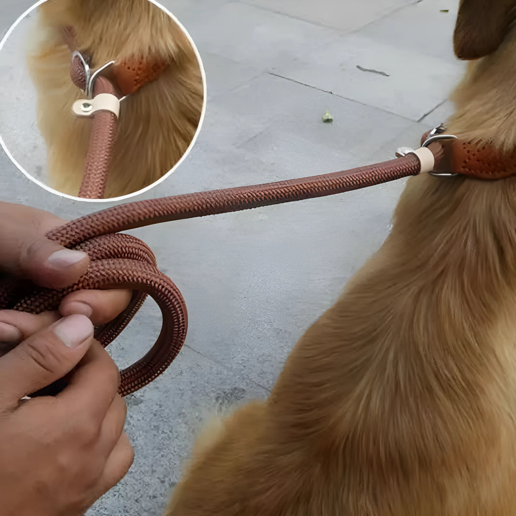 Brown nylon P chain dog leash with hand holding rope measuring 2.1 metres long