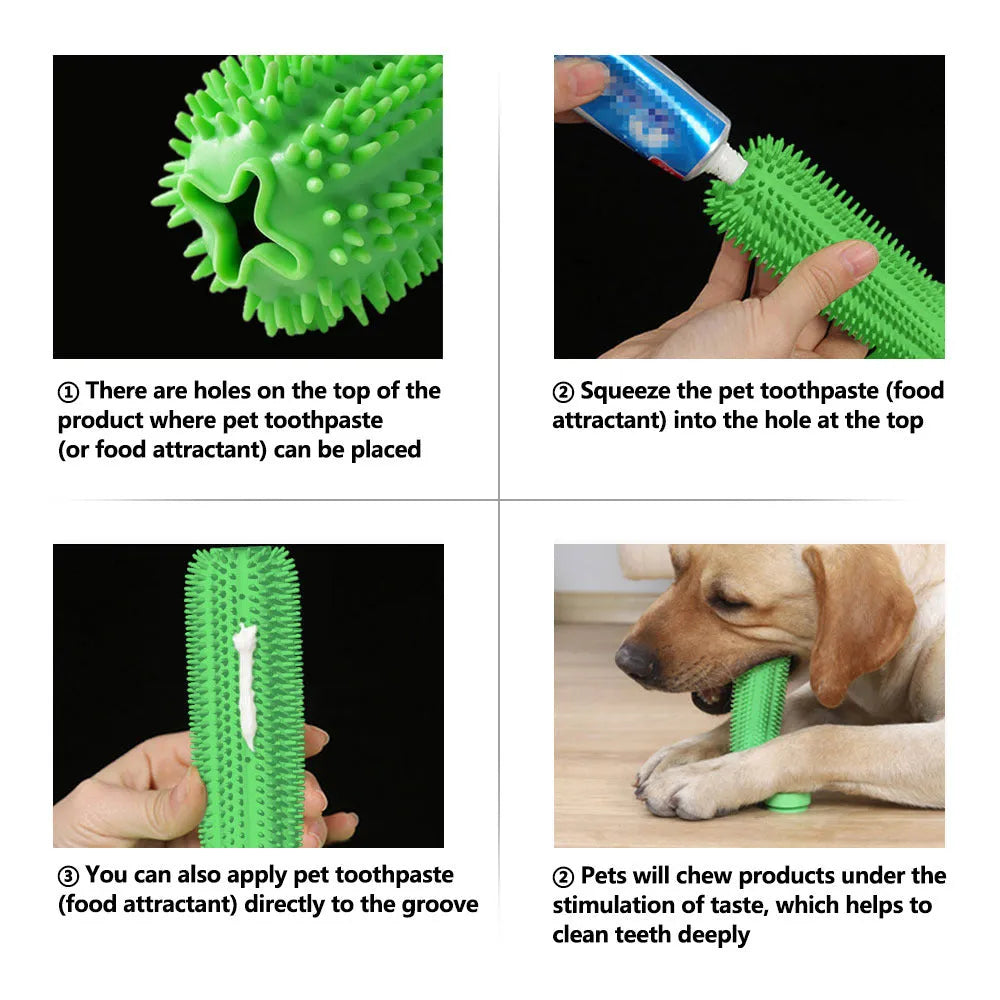 Green TPR dog chew toy with small and large molar rods and suction cup base
