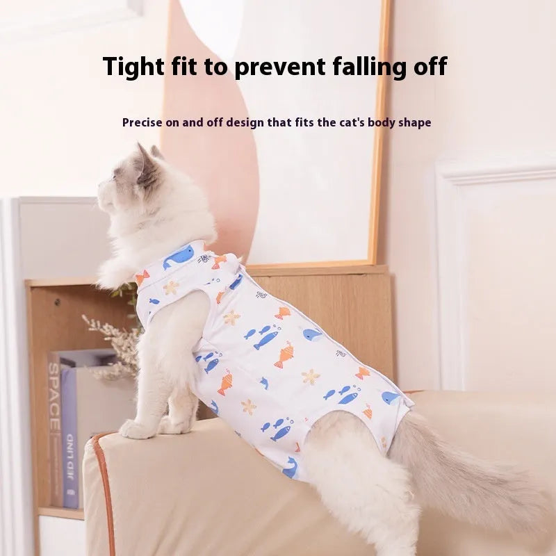 Cat wearing sterilisation suit with velcro fastening after surgery