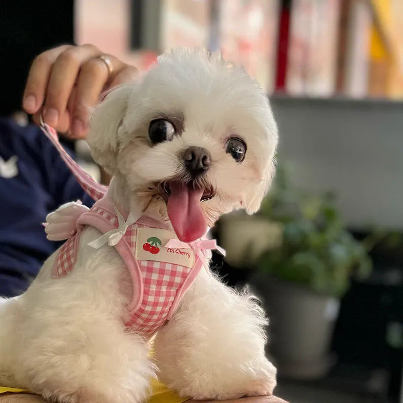 Cotton dog harness with chest and back strap in pink colour