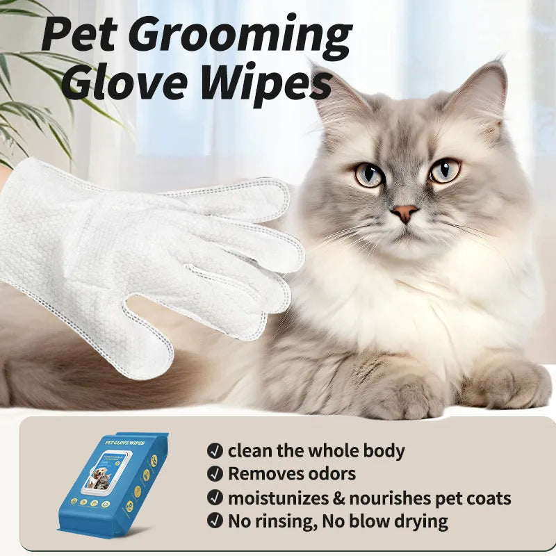 Pack of disposable clear polyethylene gloves for pet grooming and cleaning tasks