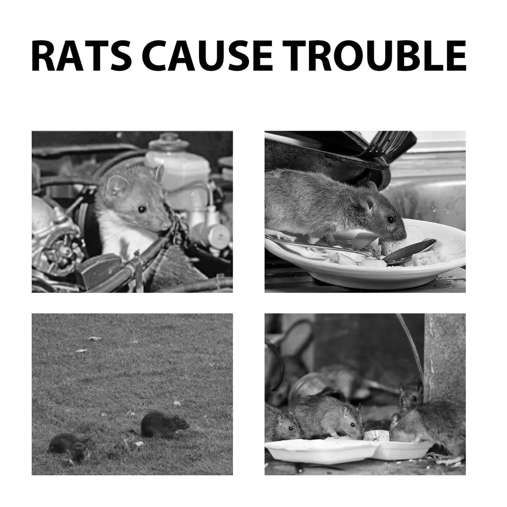 60ml rat repellent spray bottle with botanical essential oil formula for home and car use.