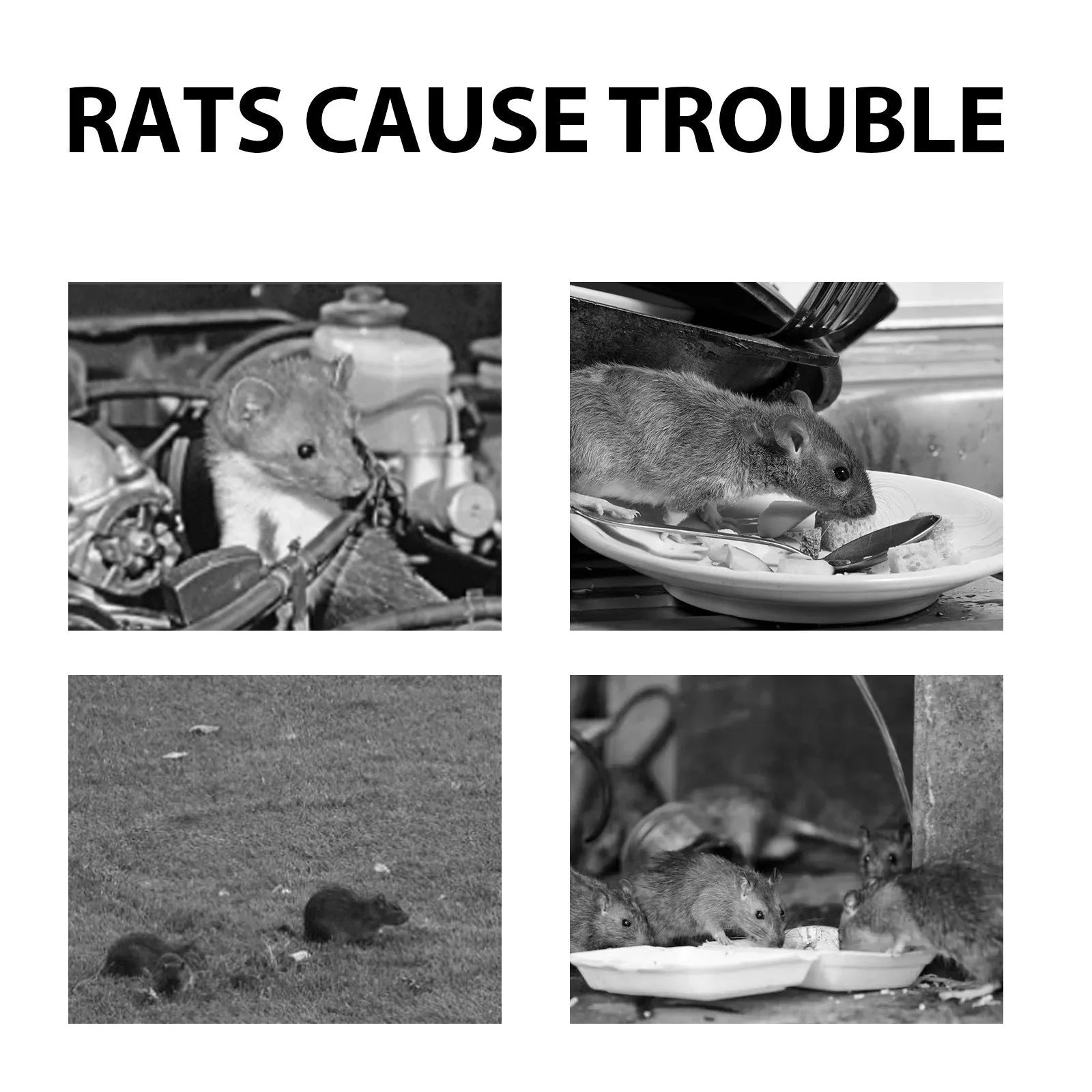 60ml rat repellent spray bottle with botanical essential oil formula for home and car use.