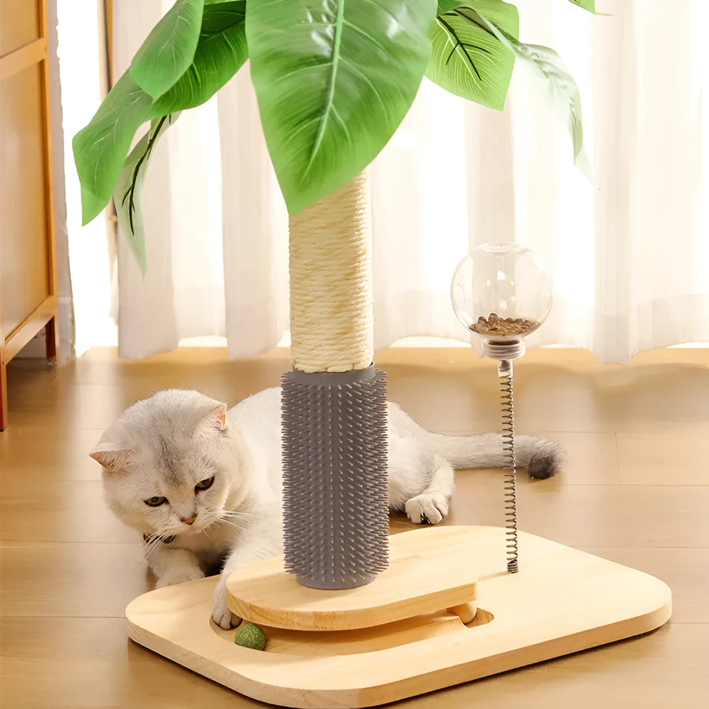 Vertical wooden cat scratching post with canna colour finish and food drop ball attachment