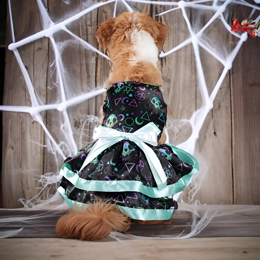 Halloween dog skirt in colourful pumpkin print with double-layer design