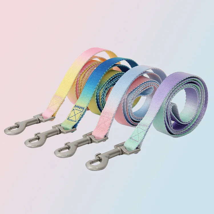 Nylon dog lead set showing gradient colour options in pink-blue combination with collar attachment