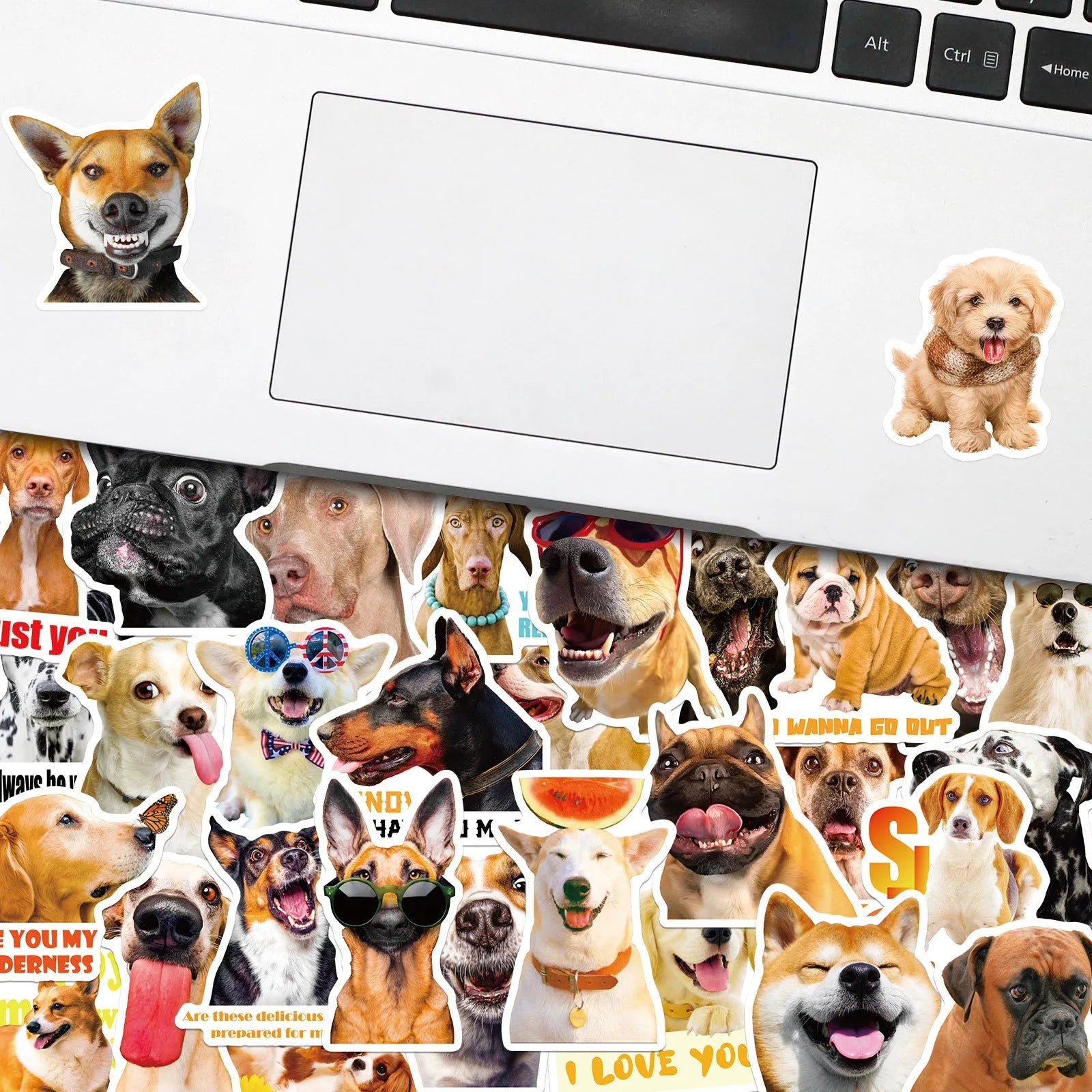 Pack of 100 realistic dog facial expression sticker sheets in Nordic style