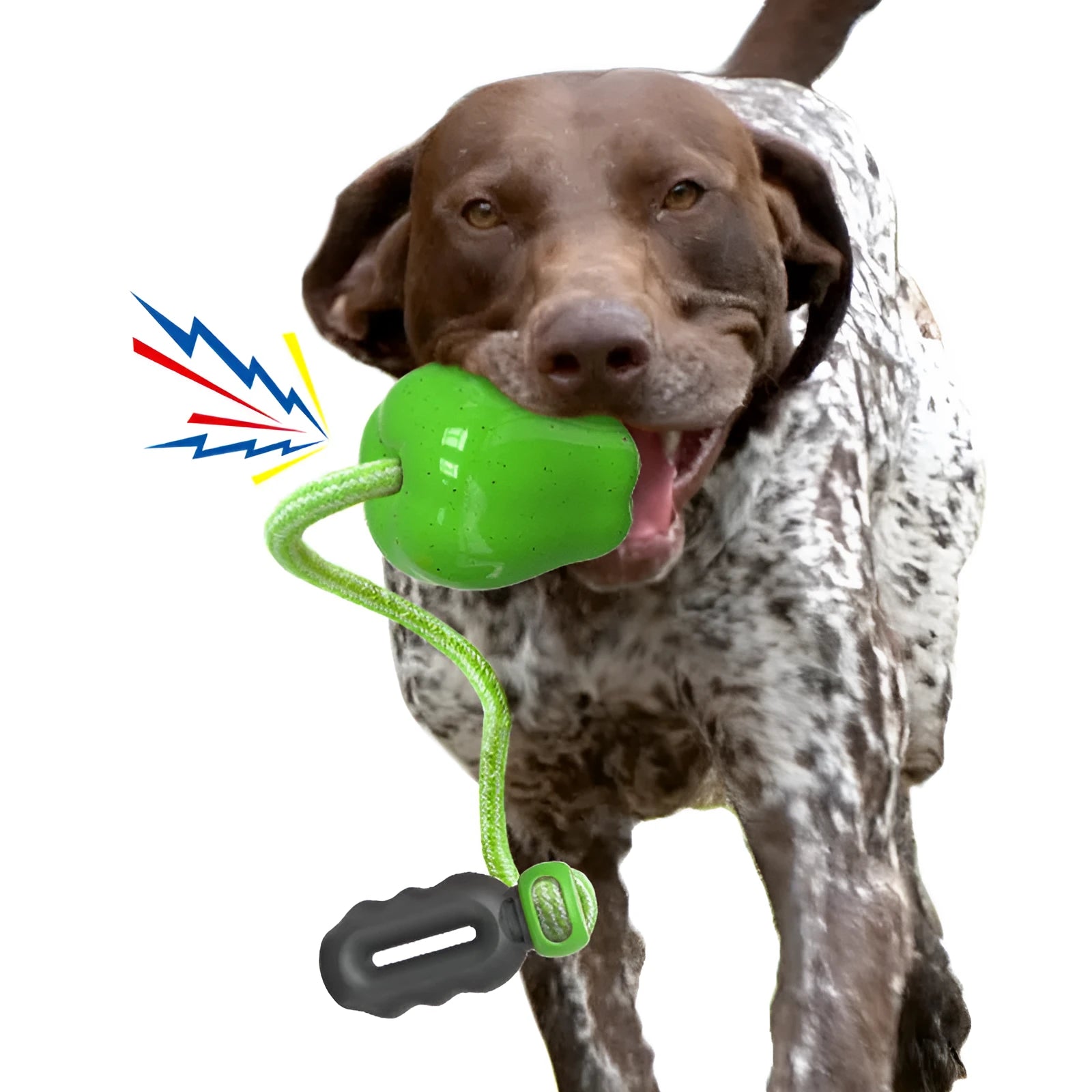 Green and red plastic apple-shaped dog dropping ball toy for molar exercise