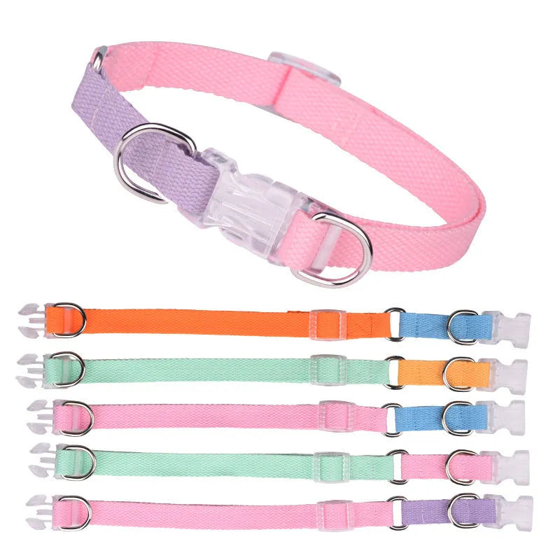 Polyester dog collar, leash, and chest strap set in assorted colours with adjustable sizing.