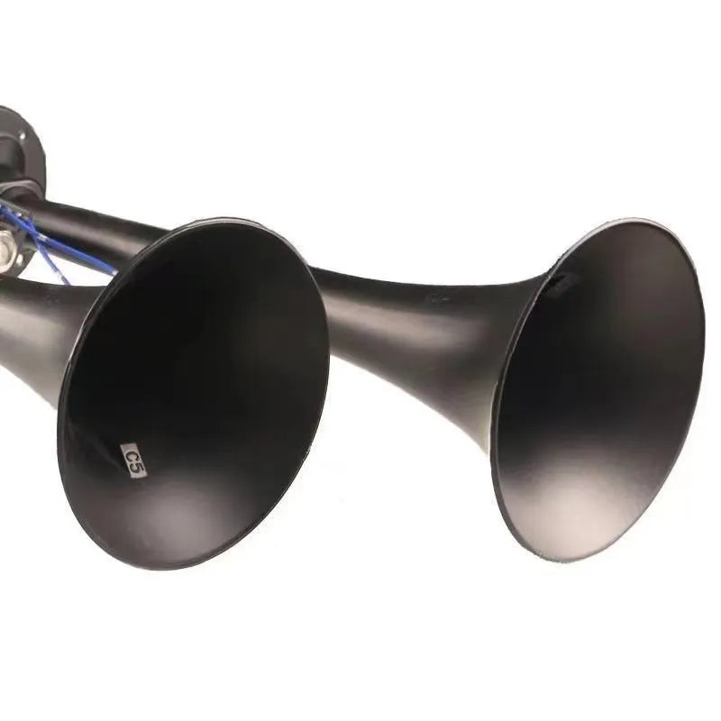 Black 12V 24V 300DB dual trumpet air horn and compressor kit for vehicles.