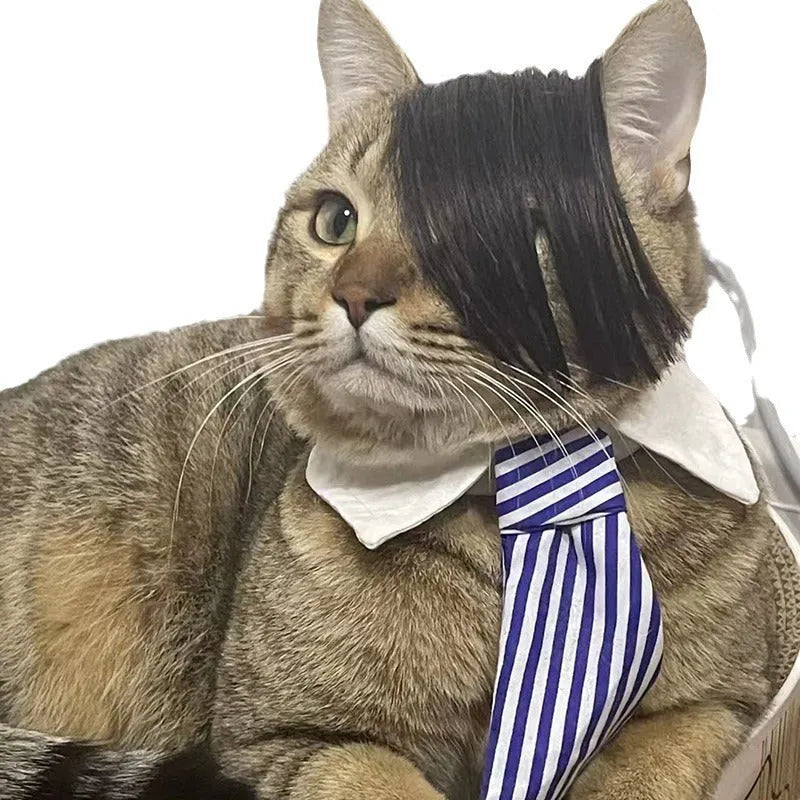 Black polyester cat wig with imitation braid detailing for pet dress up