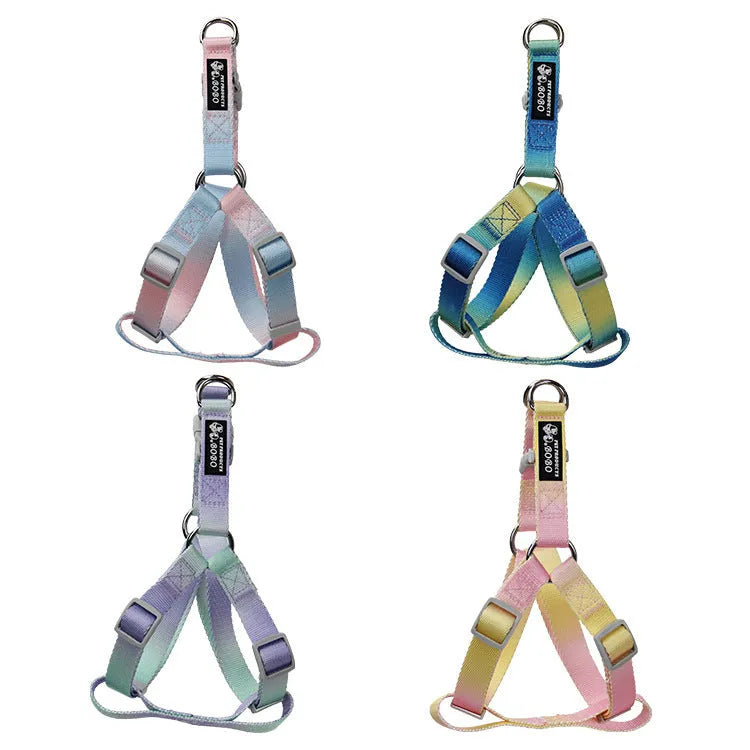 Nylon dog lead set showing gradient colour options in pink-blue combination with collar attachment