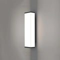 Stainless steel long strip outdoor wall light mounted on a wall, 60cm tall.
