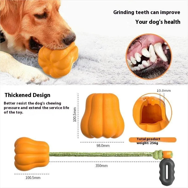Orange plastic dog chew toy with a blue rope attached, shown on a neutral background.