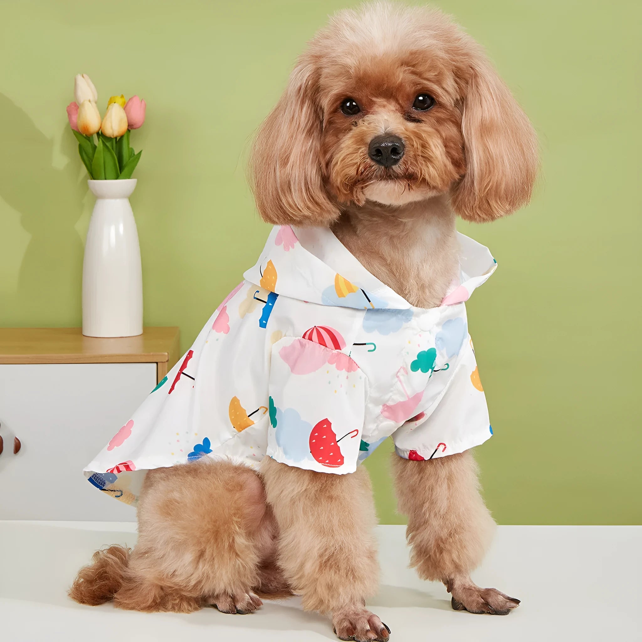 Colourful cartoon umbrella print dog raincoat in polyester fabric on a model dog.