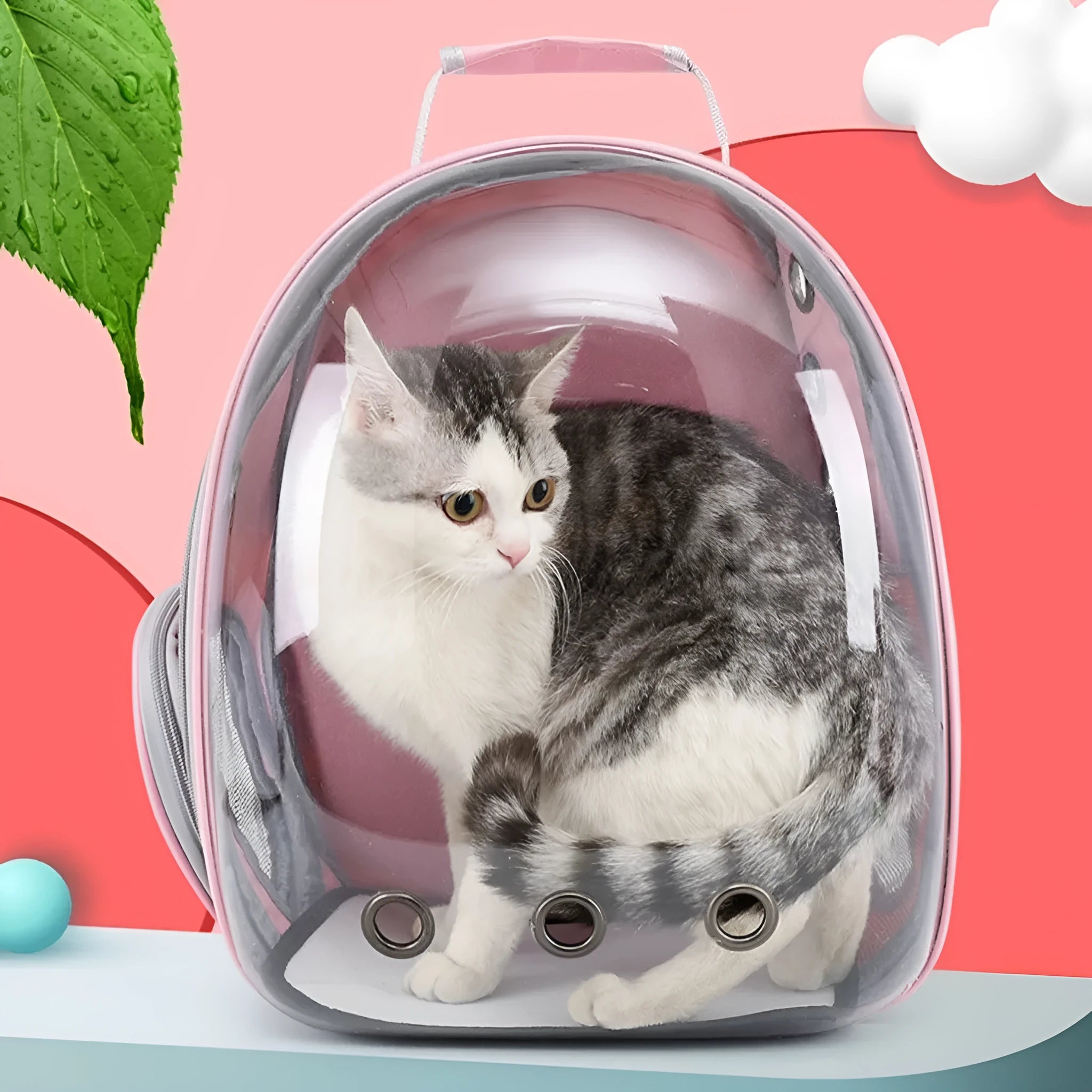 Astronaut cat carrier backpack with side opening in multiple colour options including black, pink, green, and blue