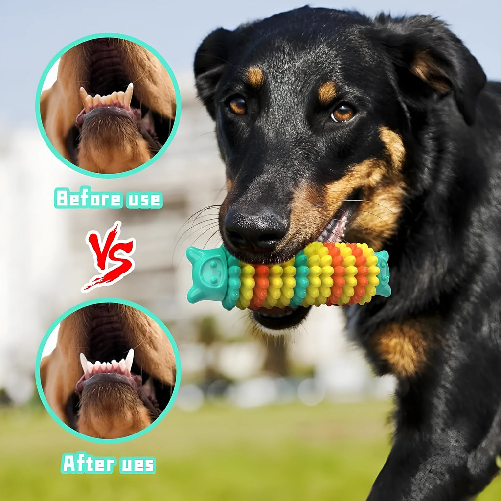 Blue caterpillar-shaped dog chew toy made from natural rubber for aggressive chewers