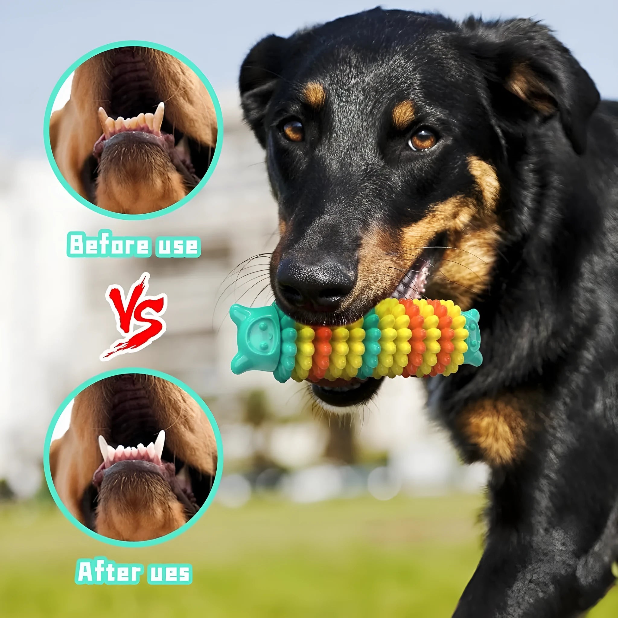 Blue caterpillar-shaped dog chew toy made from natural rubber for aggressive chewers