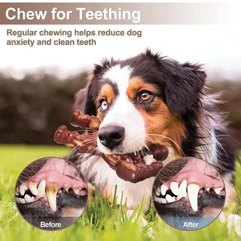 Scarlet coloured nylon dog molar chew toy with beef flavour