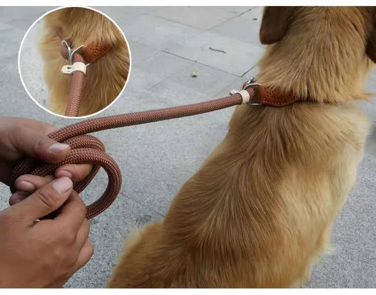 Brown nylon P chain dog leash with hand holding rope measuring 2.1 metres long