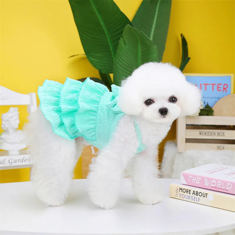 Small dog wearing a rose red princess dress with a layered candy skirt.