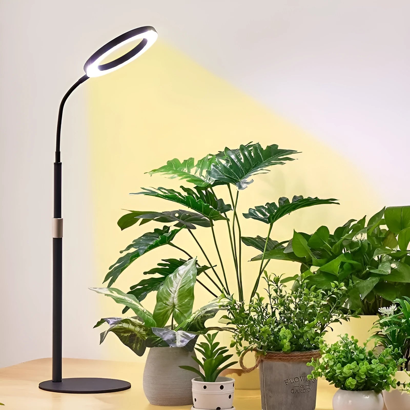 6-inch angel ring retractable floor plant grow light with aluminium alloy shell on a stand