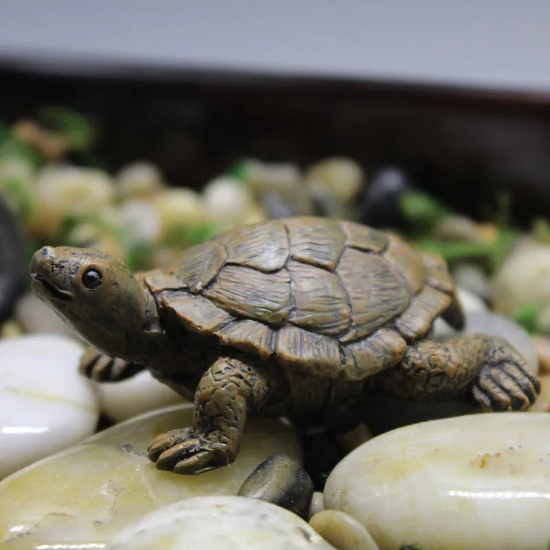 Realistic resin turtle garden ornament for micro landscape arrangements