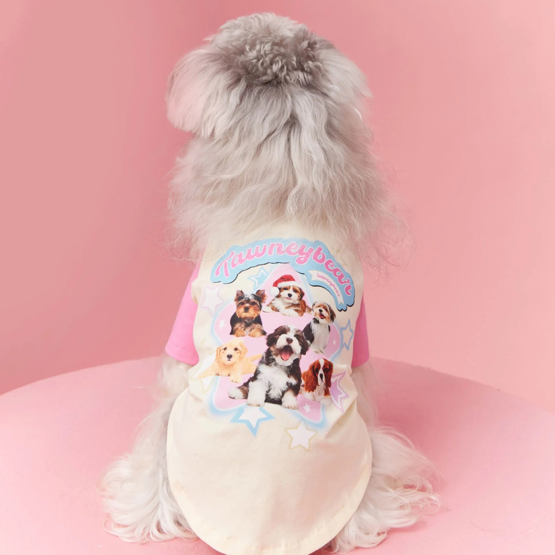 Red cotton summer dog clothes with contrast colour design on a small dog