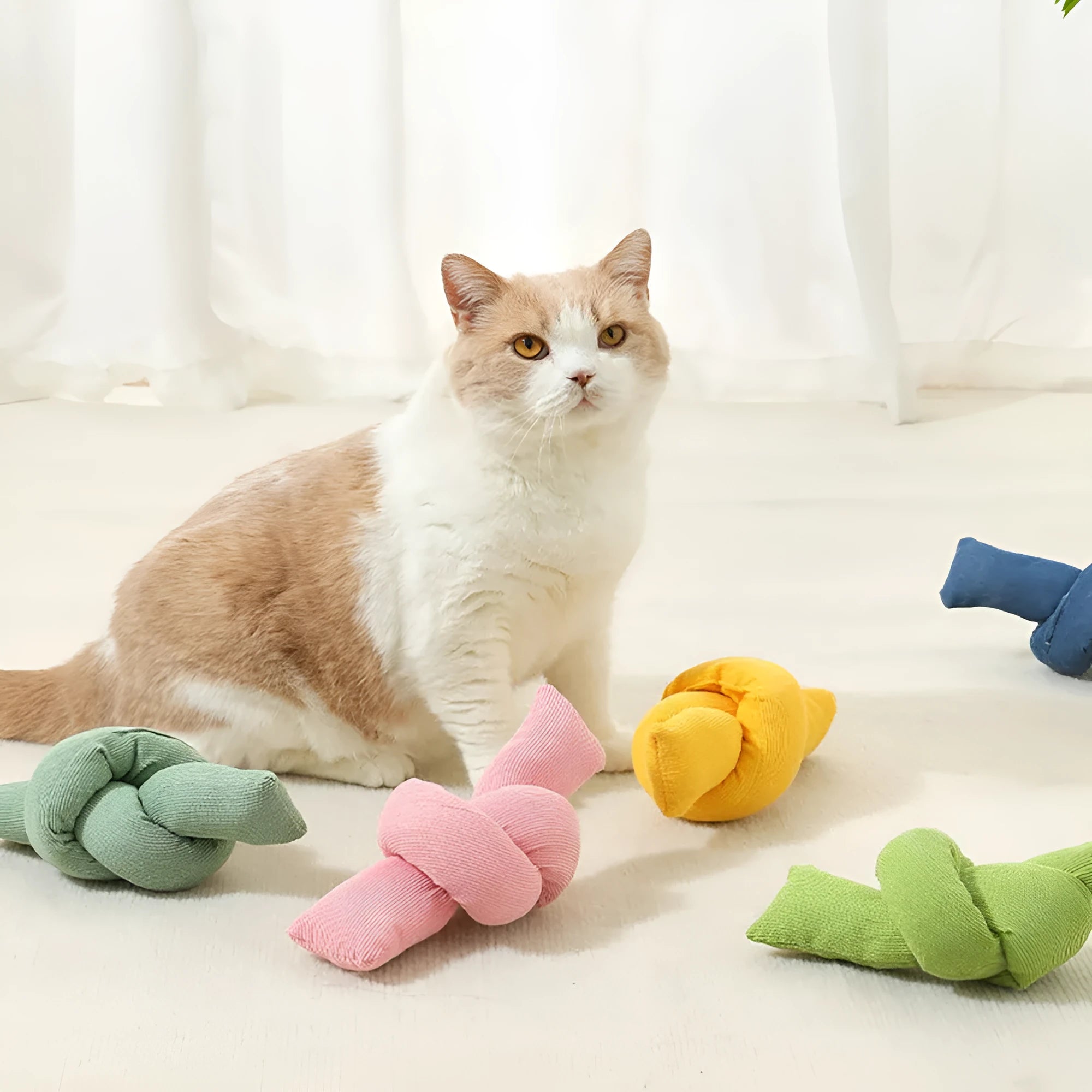 White cotton dog rope toy with multiple sturdy knots for tugging and chewing