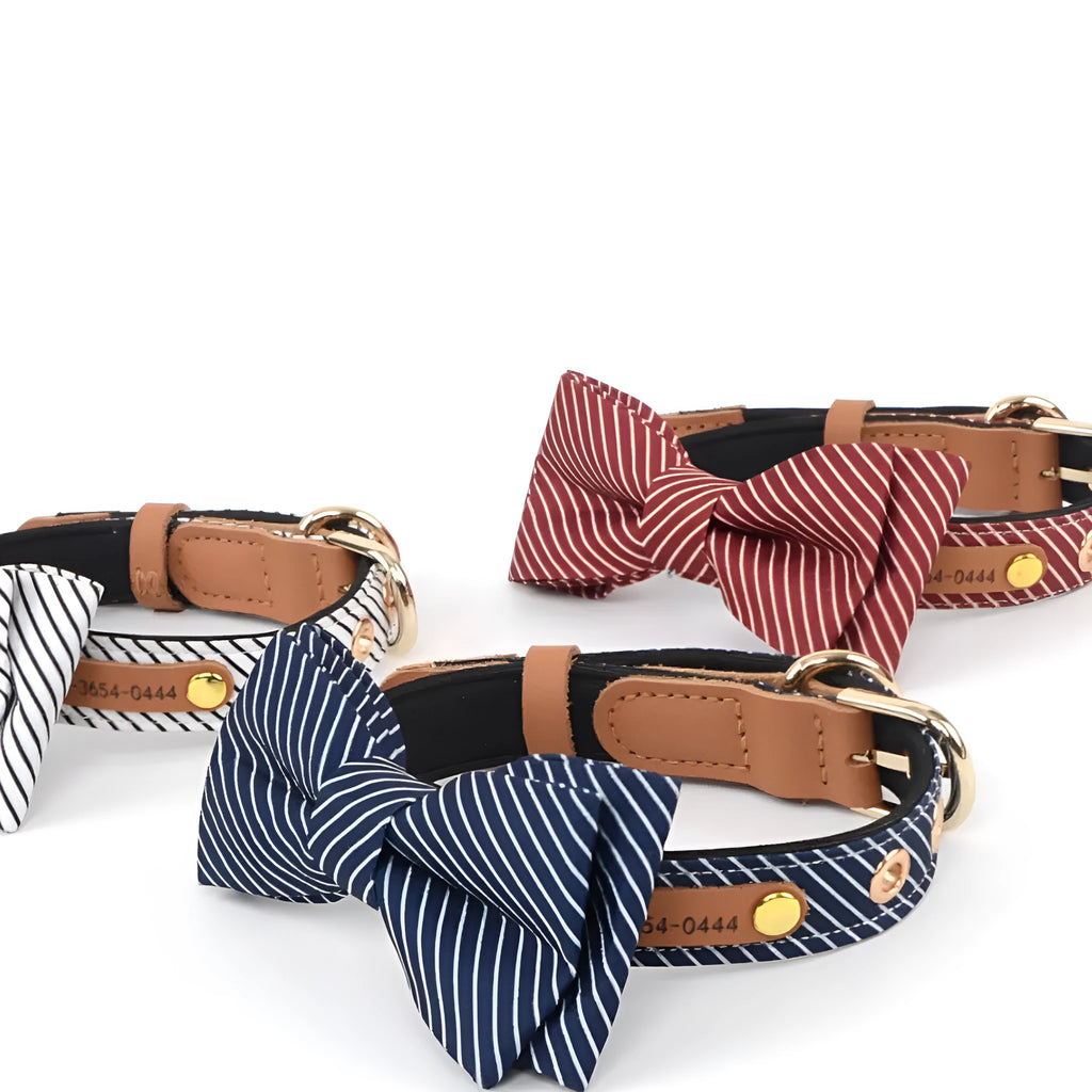 Simple cotton detachable bow dog collar in white with 2cm rope width