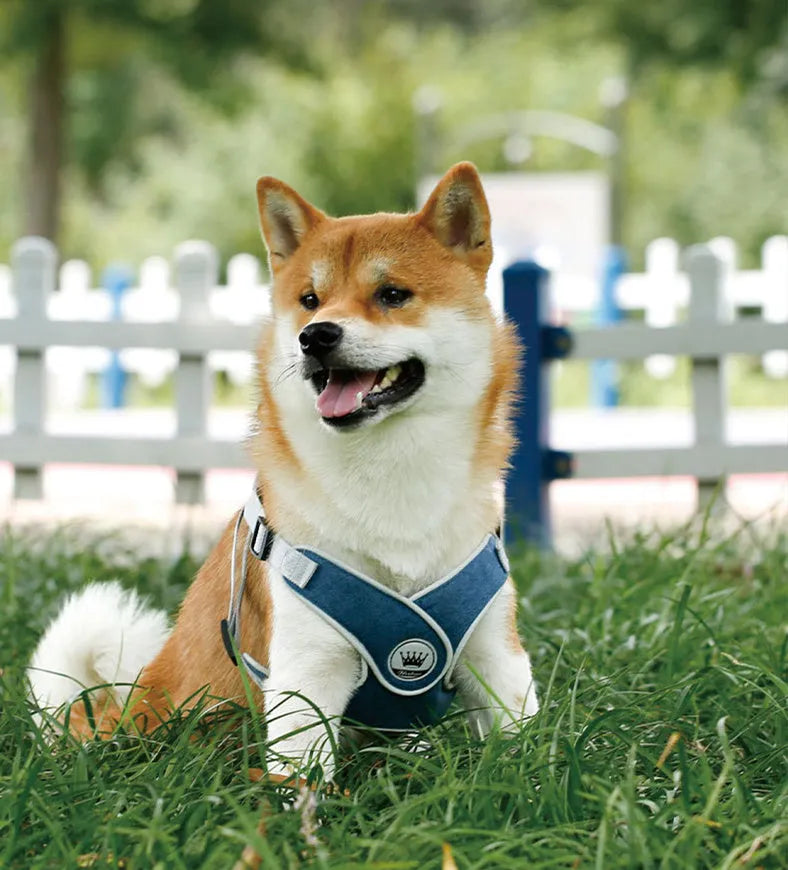 Adjustable dog cat harness vest in breathable mesh material with reflective strips and metal D-ring