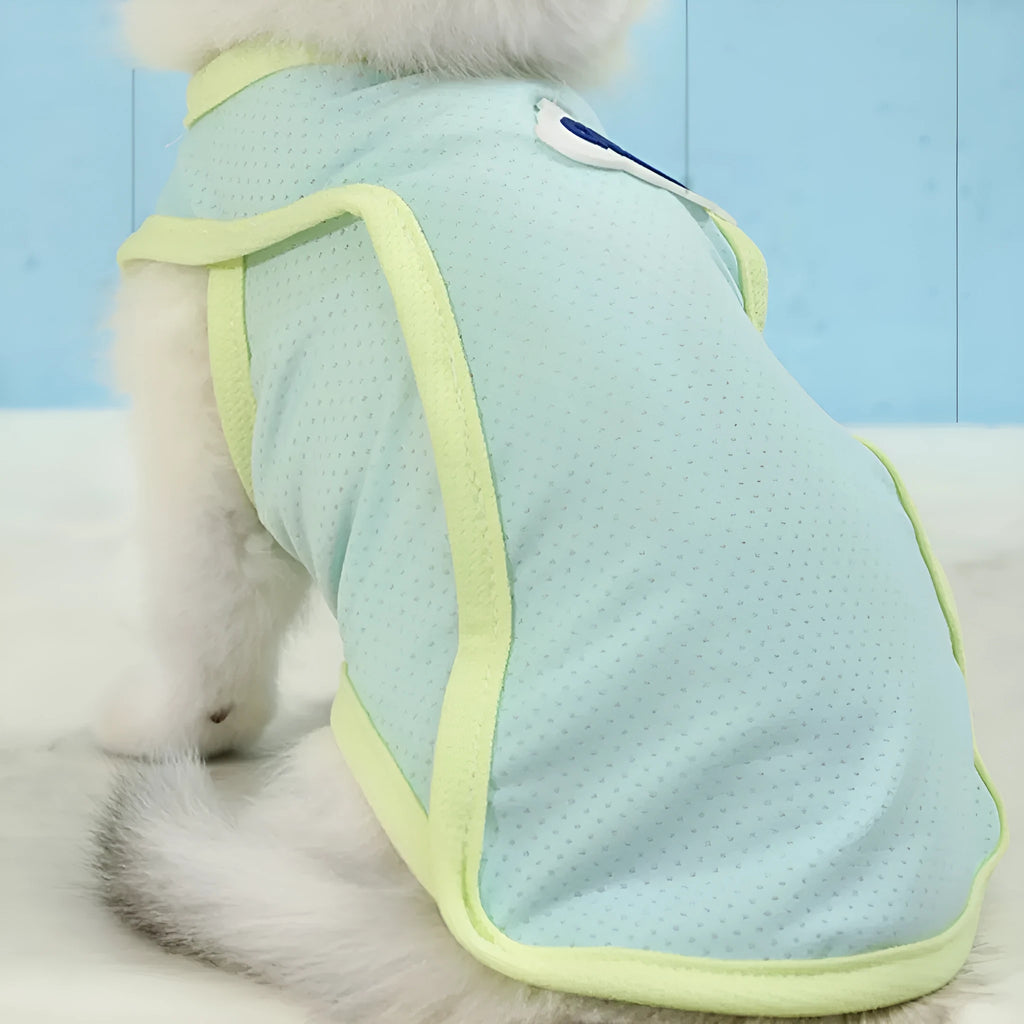 Cat wearing summer vest in sports style with anti-lint polyester construction
