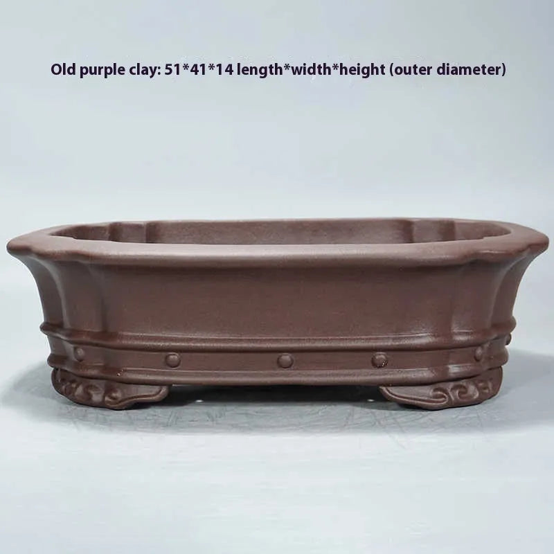 Purple sand rectangular begonia flower pot with antique style on desktop