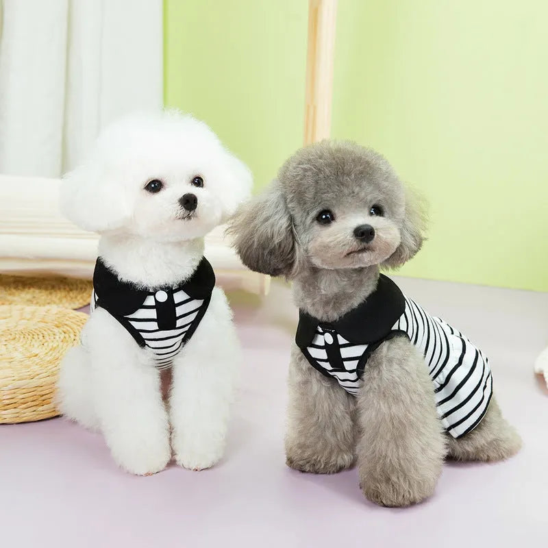 Striped cotton T-shirt and skirt pet summer outfit for dogs and cats
