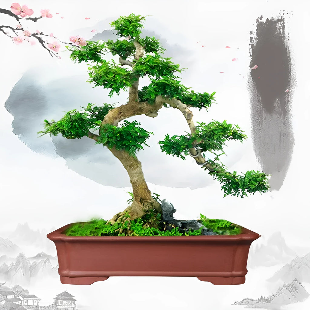 Large rectangular purple clay bonsai pot showing handmade texture and substantial size