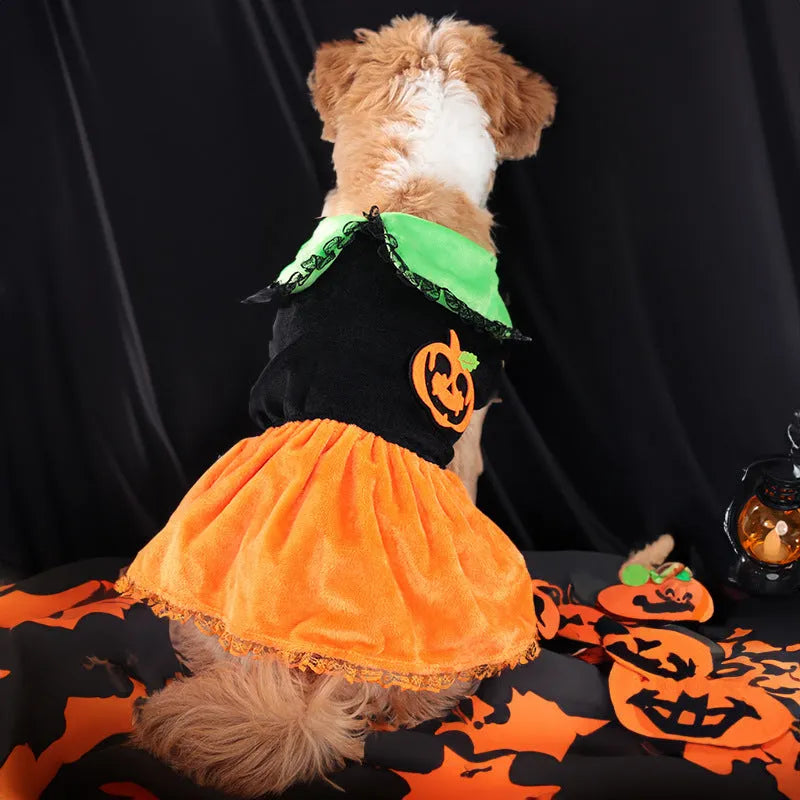 Halloween pumpkin skirt pet costume for small dogs in crystal velvet fabric