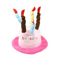 Blue or pink birthday party hat for a small to medium-sized dog.