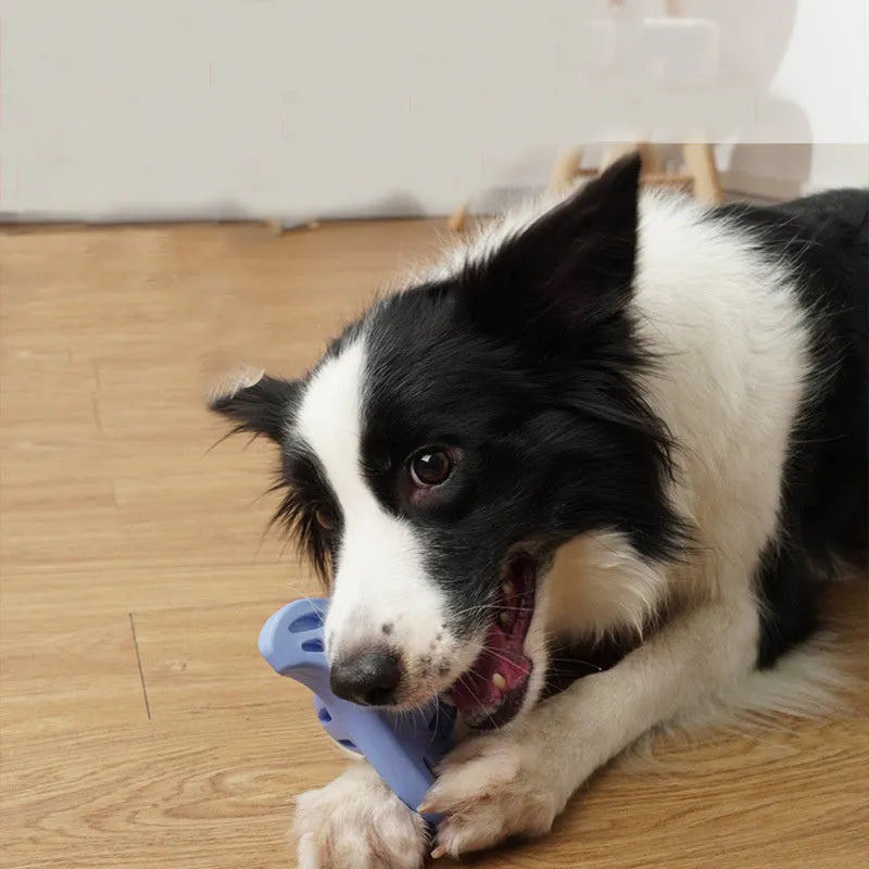 Blue boomerang-shaped molar dog chew toy for medium and large breeds