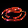 Luminous PVC dog leash in four colours with hand-held loop, 25x120cm