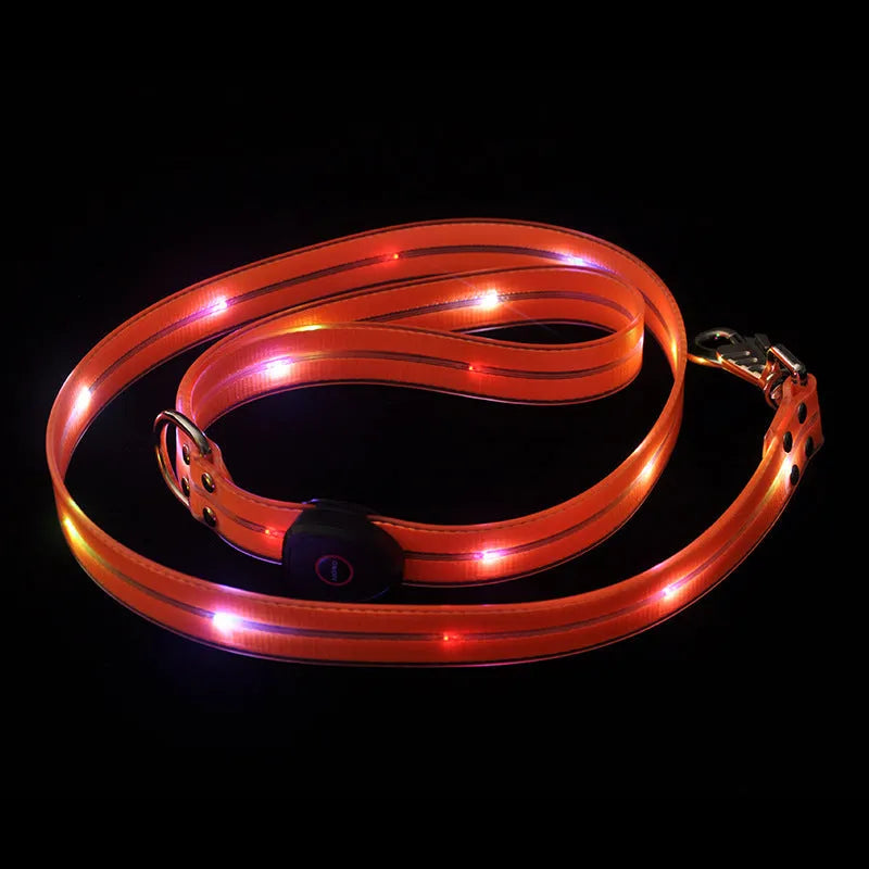 Luminous PVC dog leash in four colours with hand-held loop, 25x120cm