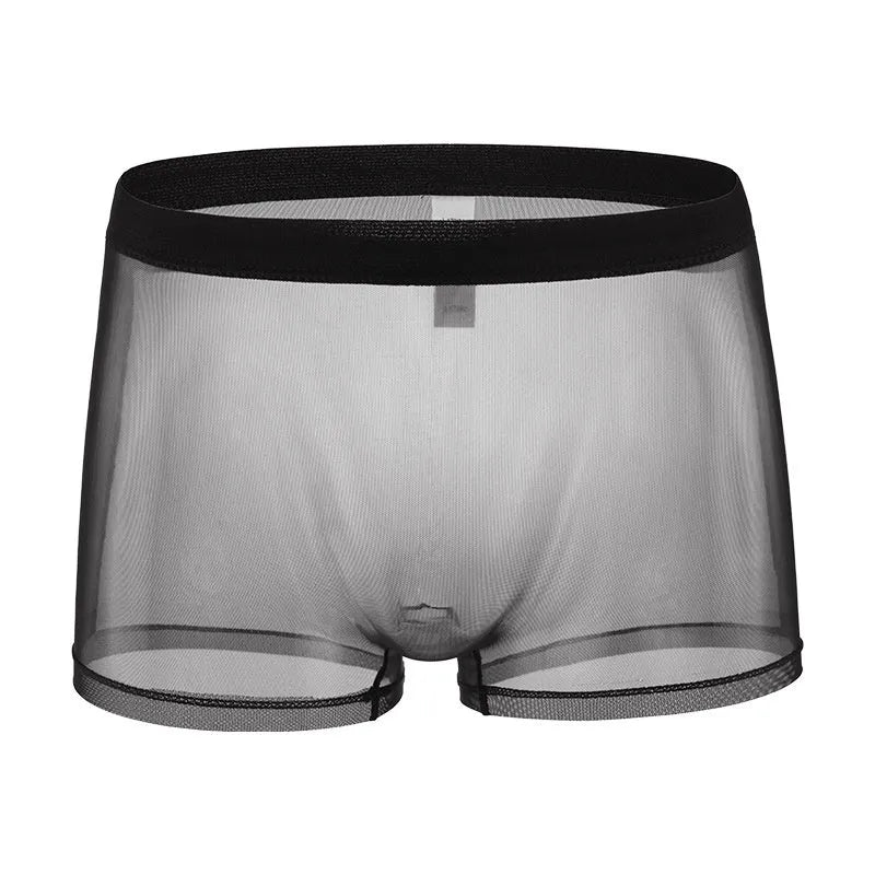 Men's mesh boxer briefs in black, low waist design, thin sheer polyester fabric for summer