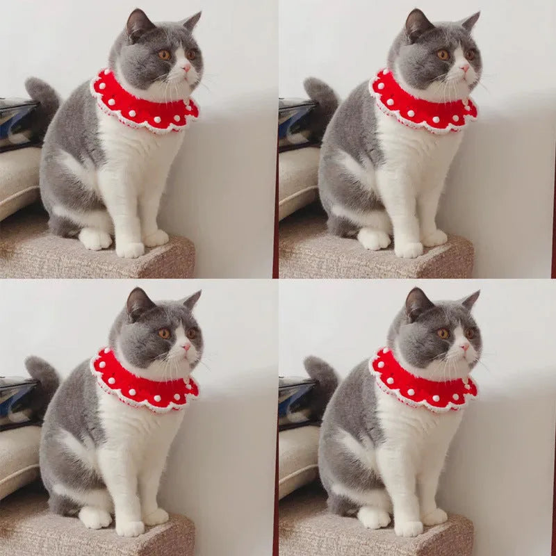 Knitted pet collar in milk cotton with cartoon pattern, showing customisable colour options and size variations