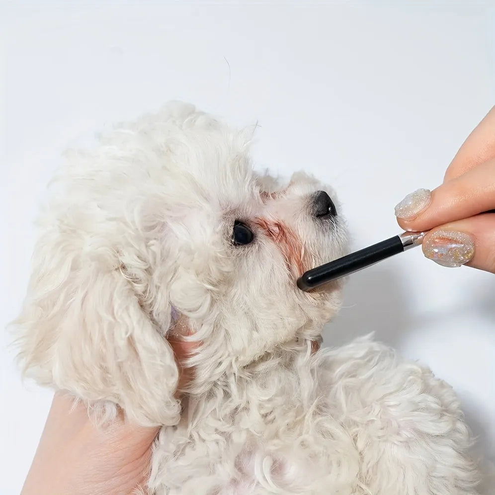 Black dual-ended pet grooming brush with soft silicone stain remover and plastic comb.