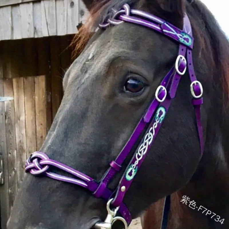 Black PU horse reins bridle set, universal size M, for equestrian riding