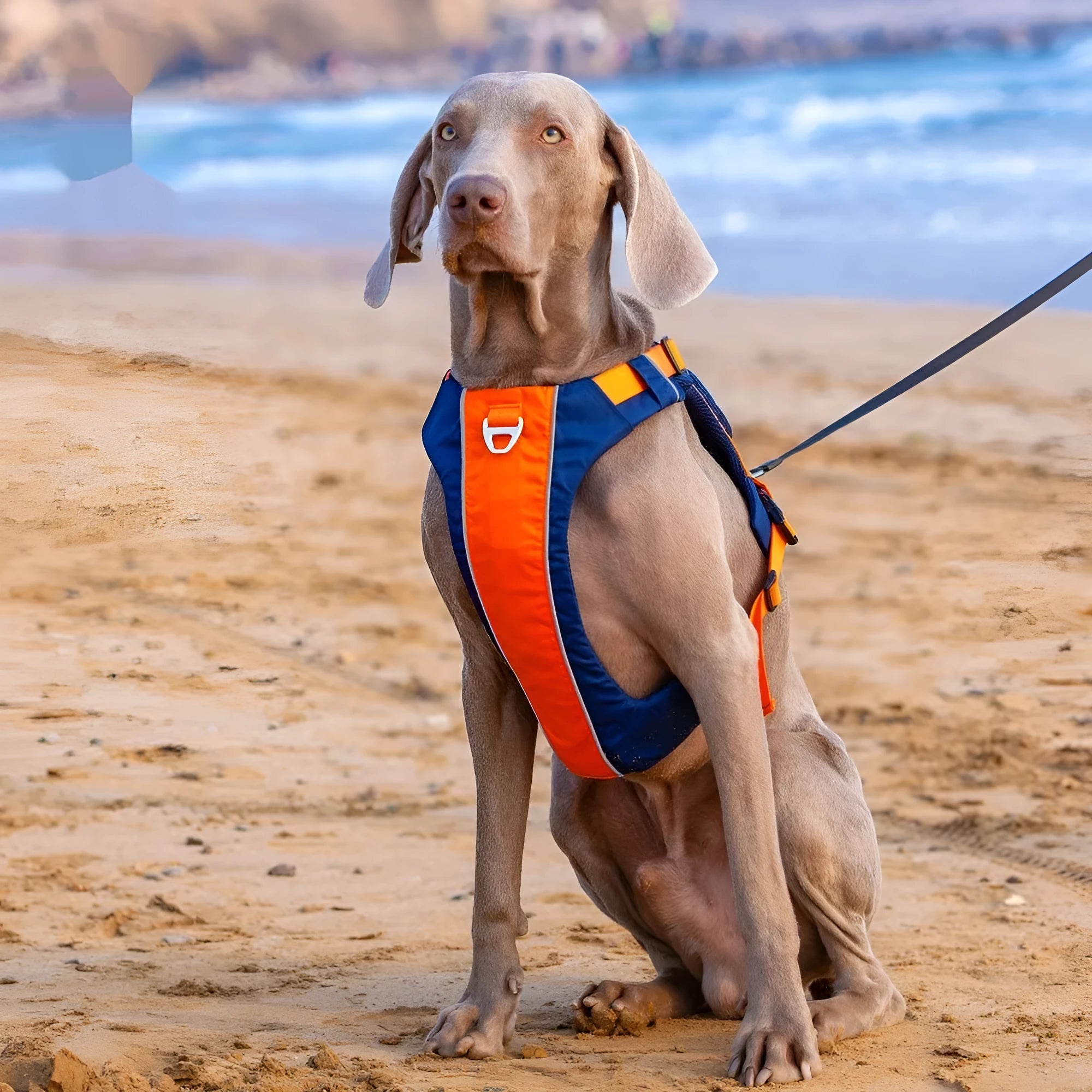 Orange blue and yellow brown nylon dog vest harness for chest strap control