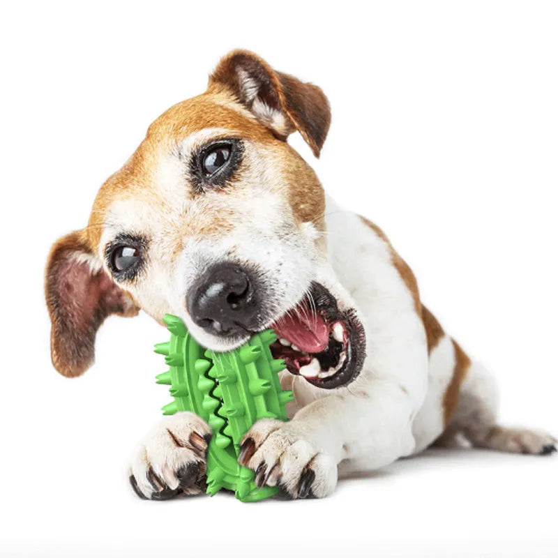 Green or yellow cactus-shaped dog chew toy for dental cleaning, made from durable rubber.