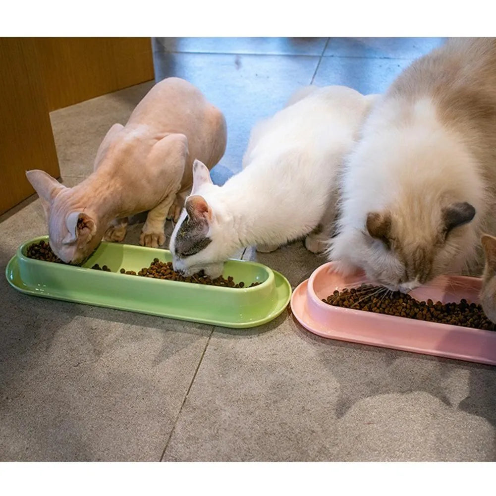Set of four raised plastic pet bowls in green, pink and yellow colours with spill guard rims