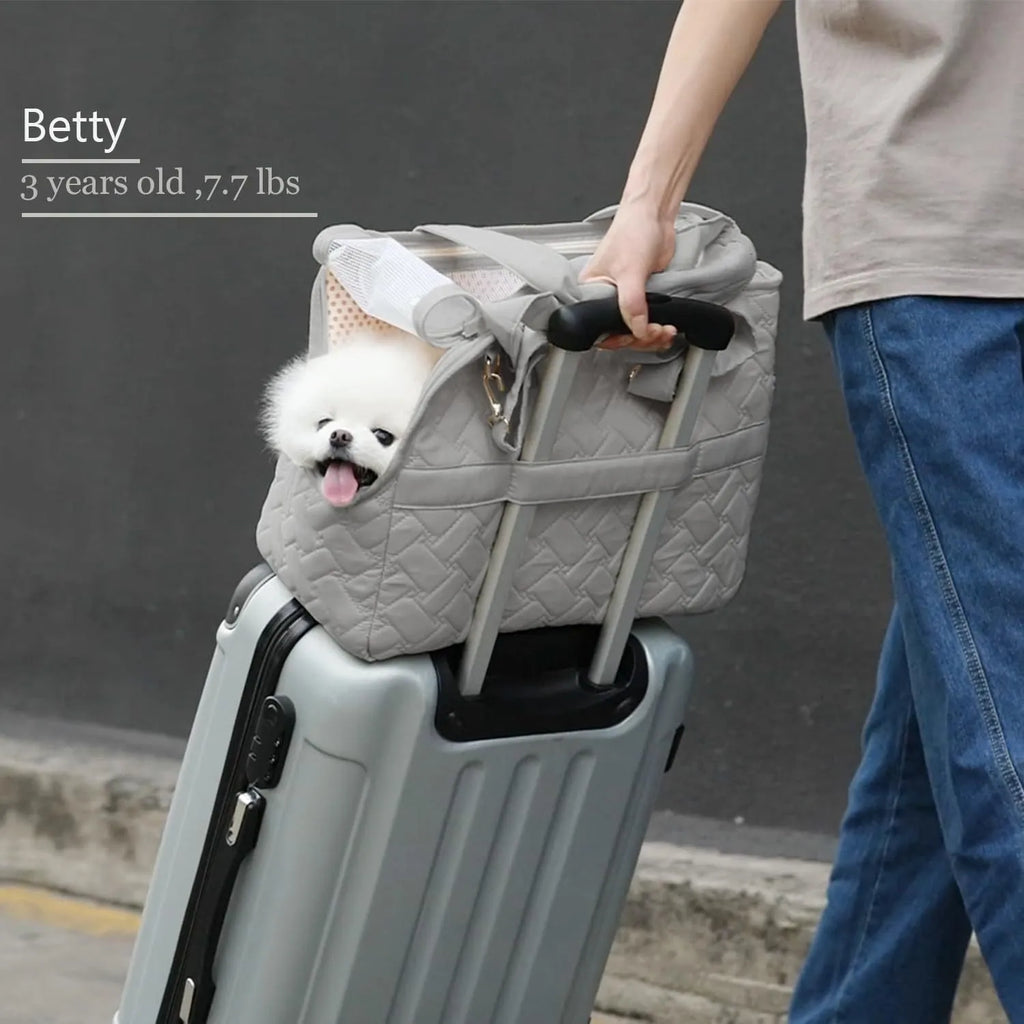 Grey and white pet carrier handbag with mesh panels and multiple pockets